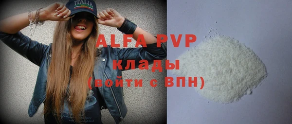 apvp Вяземский