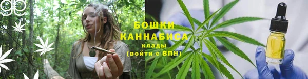 apvp Вяземский