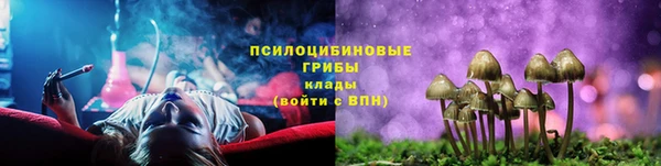 apvp Вяземский