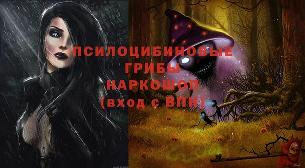 apvp Вяземский