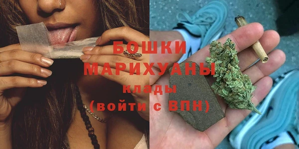 apvp Вяземский
