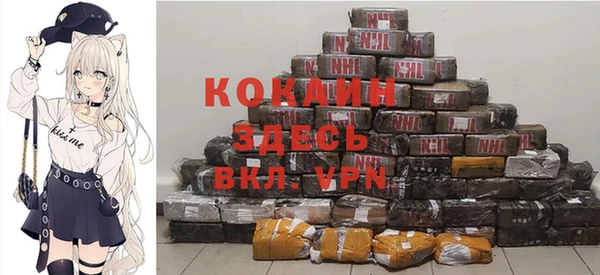apvp Вяземский