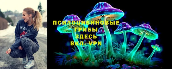 apvp Вяземский