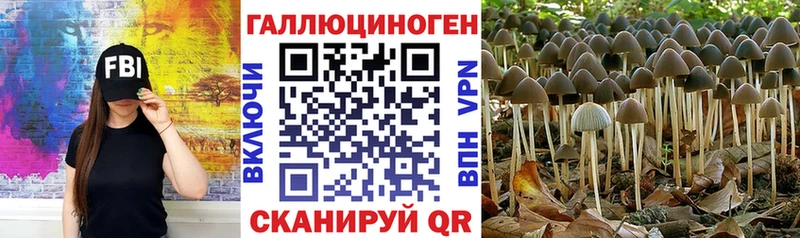 Псилоцибиновые грибы Magic Shrooms  Карабаш 